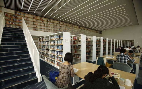 看完這些天津人的好消息，長(zhǎng)假回來(lái)也開心了——聚焦信息技術(shù)咨詢服務(wù)新機(jī)遇